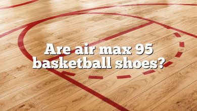 Are air max 95 basketball shoes?