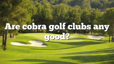 Are cobra golf clubs any good?
