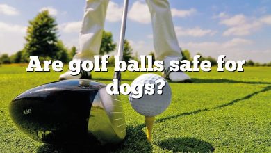 Are golf balls safe for dogs?