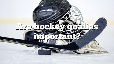 Are hockey goalies important?