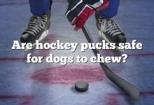 Are hockey pucks safe for dogs to chew?