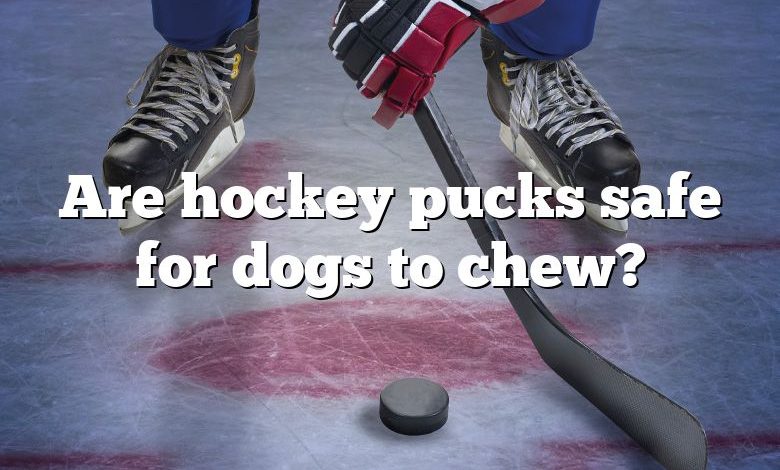 Are hockey pucks safe for dogs to chew?