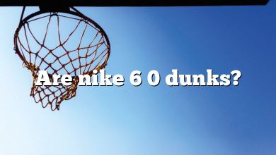 Are nike 6 0 dunks?