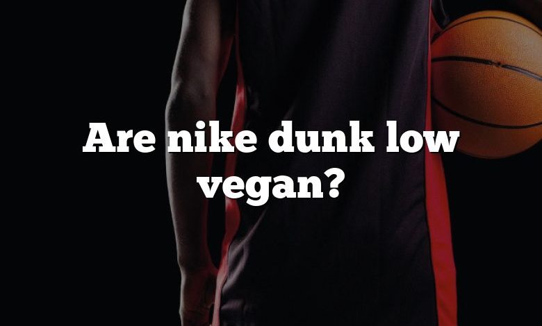 Are nike dunk low vegan?