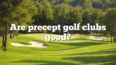 Are precept golf clubs good?