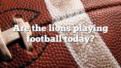Are the lions playing football today?