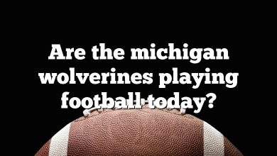 Are the michigan wolverines playing football today?