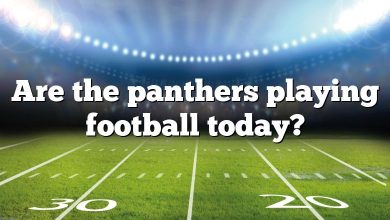 Are the panthers playing football today?