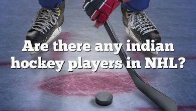 Are there any indian hockey players in NHL?