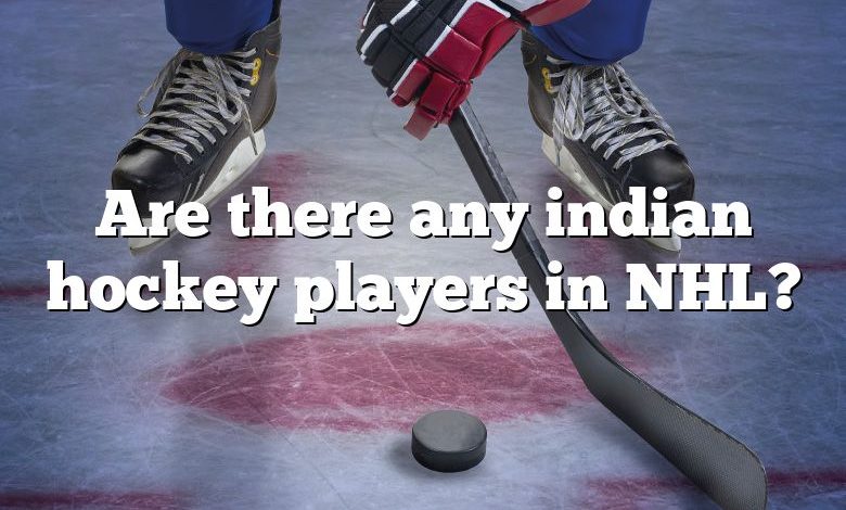 Are there any indian hockey players in NHL?