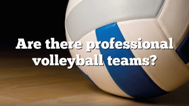 Are there professional volleyball teams?