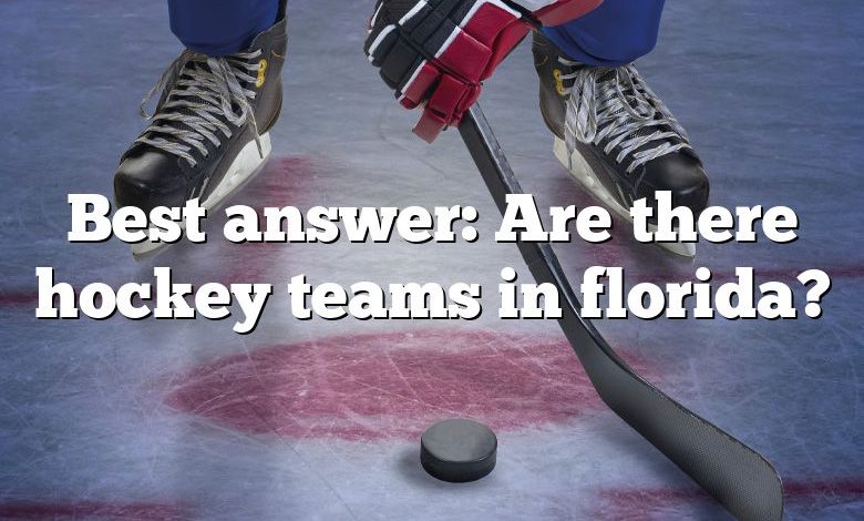 Best answer: Are there hockey teams in florida?