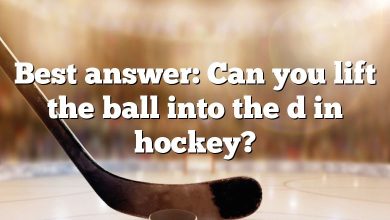 Best answer: Can you lift the ball into the d in hockey?