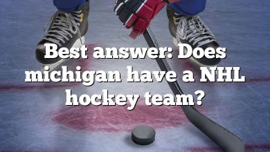 Best answer: Does michigan have a NHL hockey team?