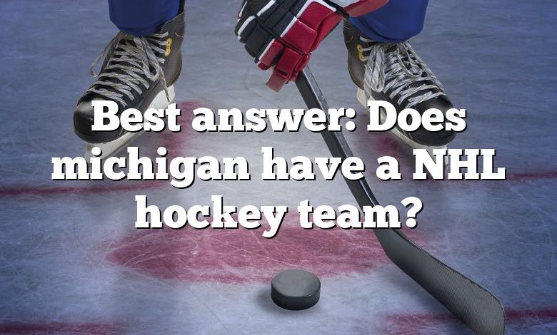 Best answer: Does michigan have a NHL hockey team?
