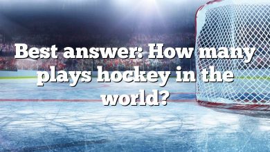 Best answer: How many plays hockey in the world?