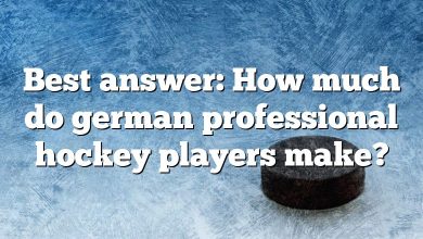 Best answer: How much do german professional hockey players make?