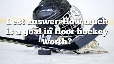 Best answer: How much is a goal in floor hockey worth?