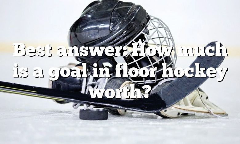 Best answer: How much is a goal in floor hockey worth?