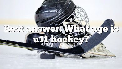 Best answer: What age is u11 hockey?