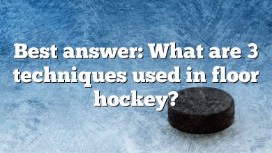 Best answer: What are 3 techniques used in floor hockey?