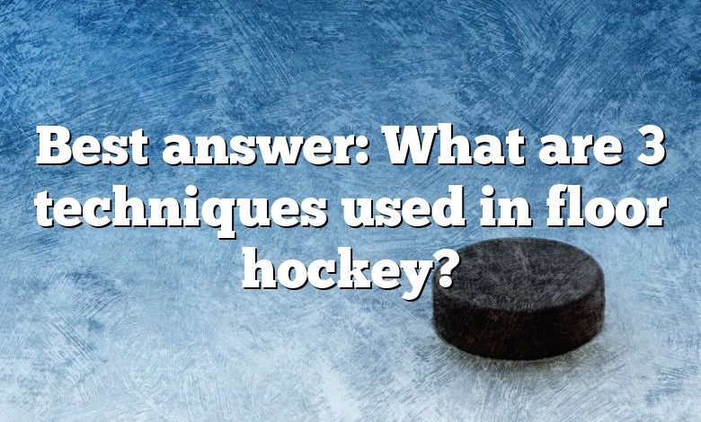 Best answer: What are 3 techniques used in floor hockey?