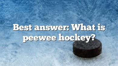 Best answer: What is peewee hockey?