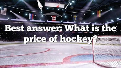 Best answer: What is the price of hockey?