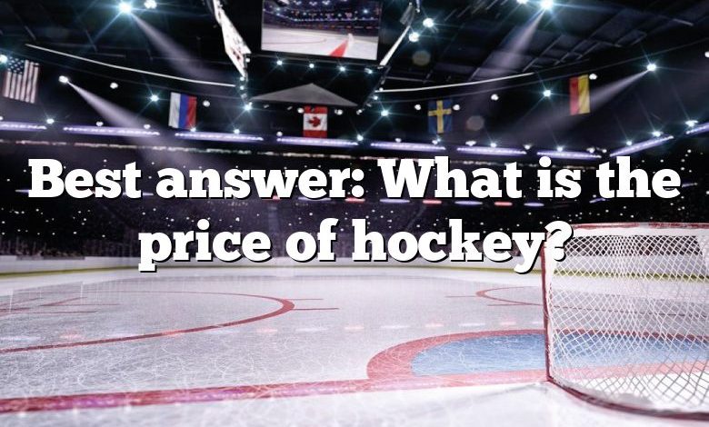 Best answer: What is the price of hockey?