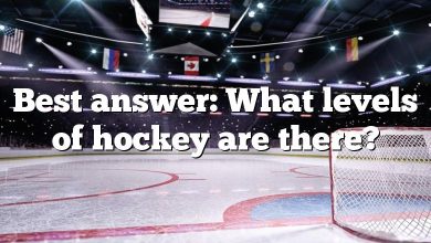 Best answer: What levels of hockey are there?