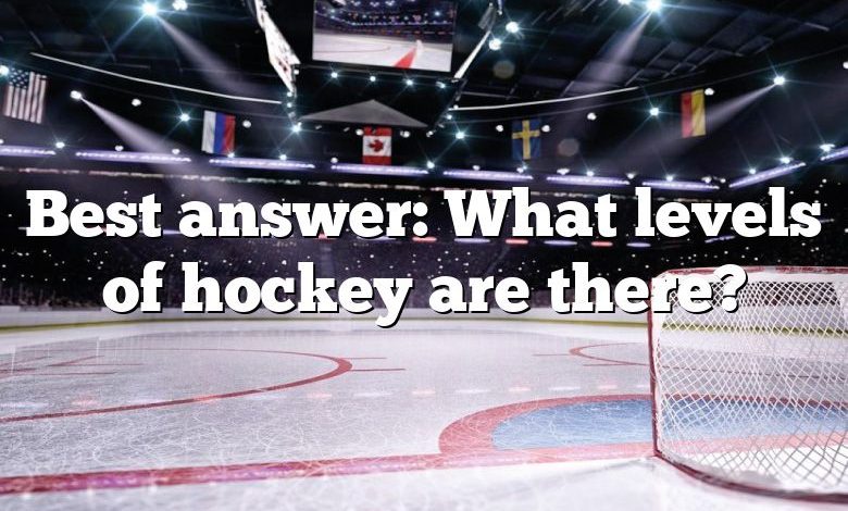 Best answer: What levels of hockey are there?