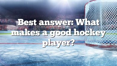 Best answer: What makes a good hockey player?