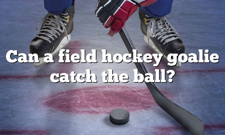 Can a field hockey goalie catch the ball?