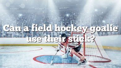 Can a field hockey goalie use their stick?