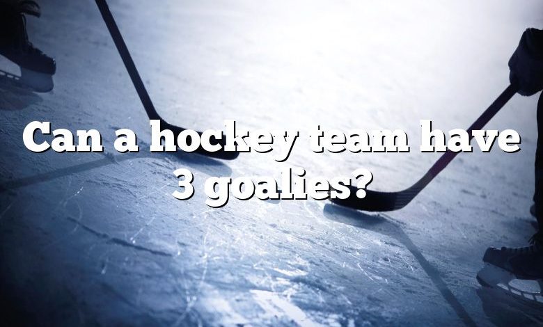 Can a hockey team have 3 goalies?
