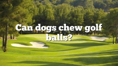 Can dogs chew golf balls?