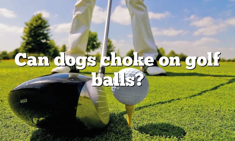 Can dogs choke on golf balls?
