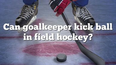 Can goalkeeper kick ball in field hockey?