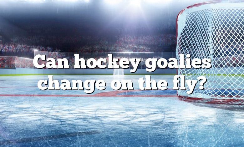 Can hockey goalies change on the fly?