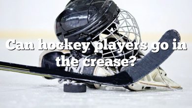 Can hockey players go in the crease?