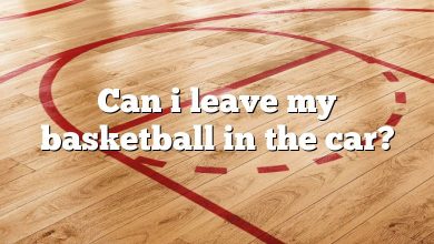 Can i leave my basketball in the car?