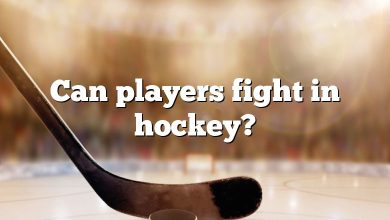 Can players fight in hockey?