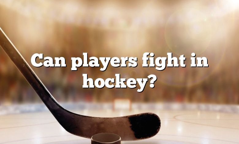 Can players fight in hockey?