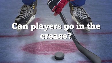 Can players go in the crease?
