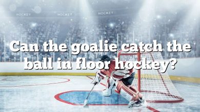 Can the goalie catch the ball in floor hockey?