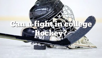 Can u fight in college hockey?