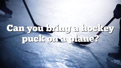 Can you bring a hockey puck on a plane?