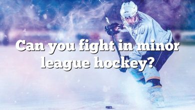 Can you fight in minor league hockey?