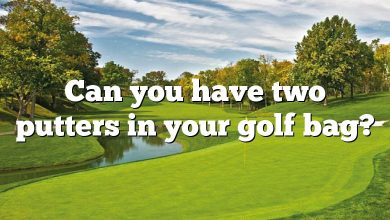 Can you have two putters in your golf bag?