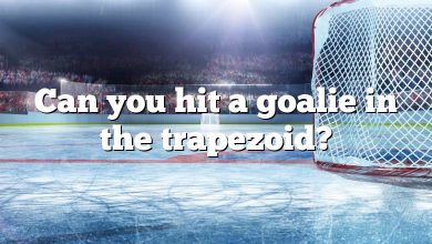 Can you hit a goalie in the trapezoid?